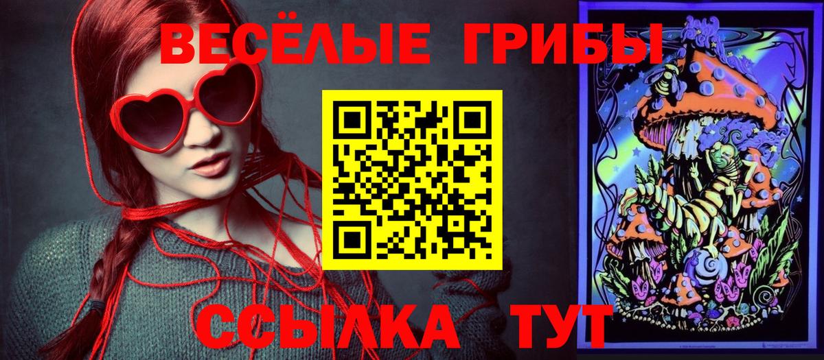 Галлюциногенные грибы Magic Shrooms  Вход с VPN  Канаш 